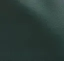 Pino