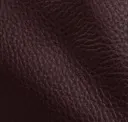Aubergine