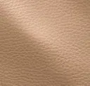 Buckskin