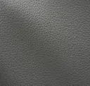 Iron