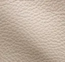 Papyrus