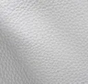 Plaster