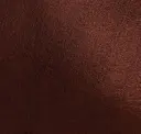 Bruciato