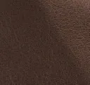 Seal Grey