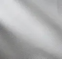 Silver Fox