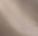 Shadow