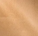 Desert
