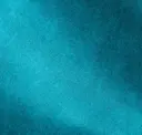 Reef
