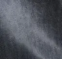 Arctic