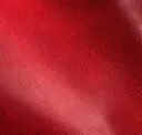Cardinal