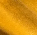 Mellow Yellow