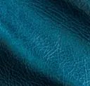 Brilliant Tide