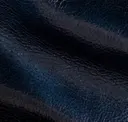Dutch Ocean