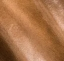 Golden Otter
