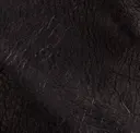 Phantom Black