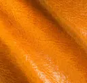Sweet Apricot