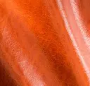 Vermillion Orange