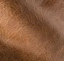 Acorn
