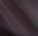 Eggplant