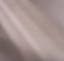 Plume