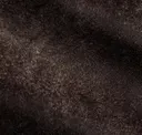 Bark