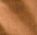 Biscuit