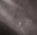 Grey Ghost