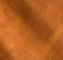 Liver Chestnut