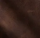 Seal Brown