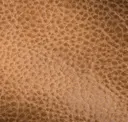 Wheat