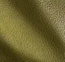 Crocodile Green