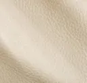 Eucalyptus Leaf