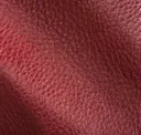 Canyon Red