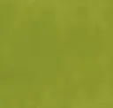 Moss Matte