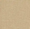 Sahara