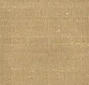 Sahara