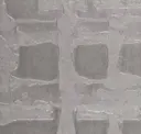 Oxidation