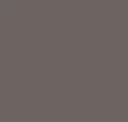 Plain Warm Grey
