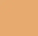 18940 Apricot Tan