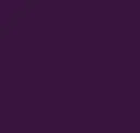 20930 Eggplant