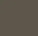 32180 Earth Brown #2
