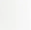 38510 Bright White