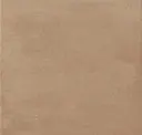 6161 Warm Ochre Clay