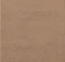 6162 Warm Ochre Sand