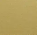 Goldenrod