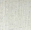 Birch