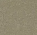 Caraway