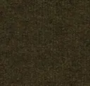 Snakeskin