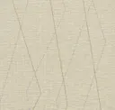 Sahara