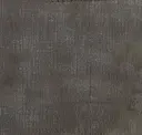 Steel